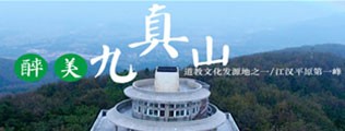 骚屌妇av区