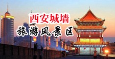 免费看操骚逼中国陕西-西安城墙旅游风景区