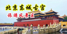 曰性感骚女人的大逼中国北京-东城古宫旅游风景区